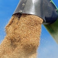 Brasil vai aumentar área de grãos
